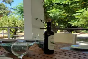 Aegean Villa & Garden in, Faliraki