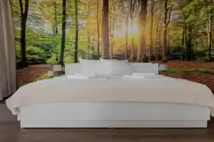 Prostoren apartament za semeyna pochivka, Khisarya