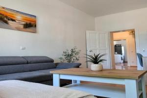 Zentral, direkt am BG Krankenhaus Apartments, Halle an der Saale