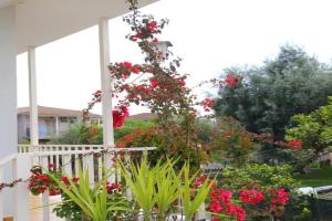 Libertá Home Apartments, Lygia