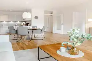 Sturmvogel im Kö8 Apartments, Kappeln