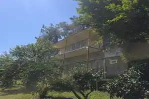 Guesthouse "Pines"