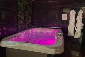 Le Fuchsia Spa Unenuitametz Apartments, Metz