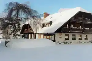 Holiday apartment with 2 bedrooms, Hinterzarten
