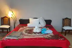 Cozy Home Guest house, Ozurgeti