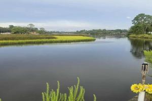 Jacksonville Waterfront Retreat 3BR 3BA Fishing Dock River Views Guest house, Jacksonville