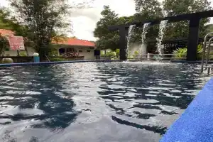 Forest Stay Inn, Pantai Tengah