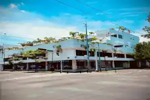 La casa de las palmeras, Guadalajara
