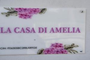 Casa Di Amelia, Pompei