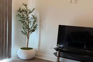 Modern 1-Bedroom Apartment in Downtown, Baltimore
