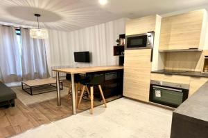 Le cocon du centre ville Apartments, Nancy