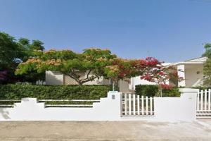 The White House, Torre Suda