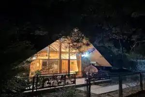 EcoCottage Didi Mindori - Among the Pines, Borjomi