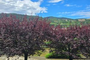 Cà Nulcin Apartments, Cernobbio