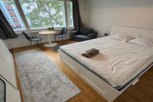 Cozy studio in the heart of, Helsinki