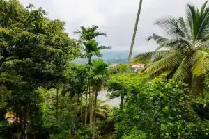 Hills Homestay, Kandy