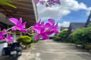 Go Gear Travel & Bungalow Hotel, Krabi City