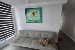 Departamento nuevo, a pasos del faro , mall, rica gastronomía Apartments, La Serena