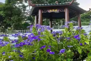 Yiru Academy's upstairs art & viewing room, Quatre Bornes