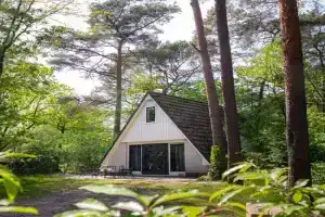 Vacation home Magnolia Veluwe Guest house, Nunspeet