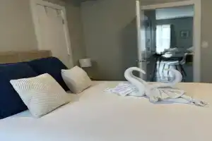 Bright & Airy 1 BDRM Private Apt Apartments, Albany