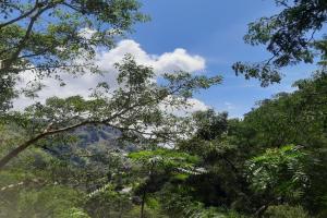 Ella Nithis Eco Cottages, Ella