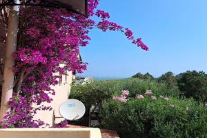Stella Marina, Apartments, Porto Rotondo