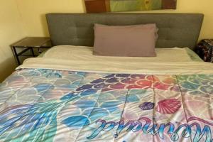 2131 queen room With shared Bathroom, Philadelphia