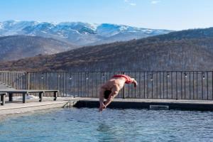 Heating pool villa with forest view, hot tube, cinema and PlayStation, Dilijan