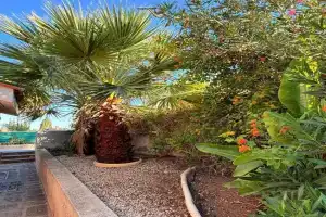 Private House in Paphos, Chlorakas