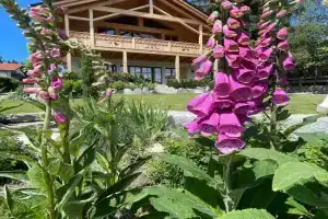 Ferienwohnung Dahoam Apartments, Bernau am Chiemsee