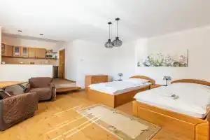 City Center Studio with Garden, Piestany