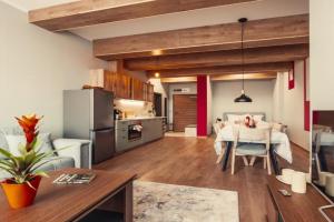 Rila Zen Apartment, Samokov