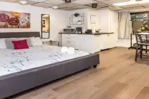 King Bed Studio Apartment - Near Chinatown, Ottawa