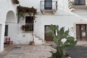 Trullo La Visita Meravigliosa Guest house, Alberobello