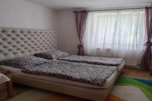Apartmán Sofie, Podebrady