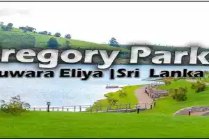Nuwara eliya rashini mountain view cottage, Nuwara Eliya