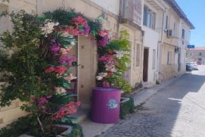 noonbir Alaçatı Guest house, Alacati