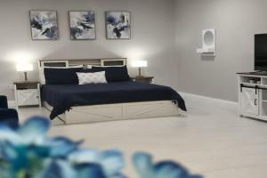 Blue Dream Sunrise - Your journey, our passion Apartments, Lakeland