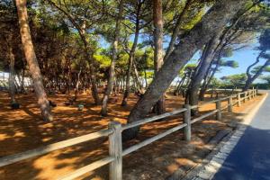 Appartamento Pinolo Trilo INT 8 - MyHo Casa, Alba Adriatica