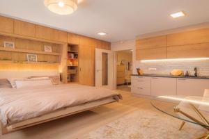 Pronájem útulného a vybaveného bytu Apartments, Plzen