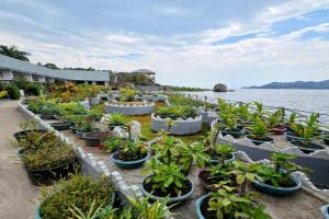 Rusty Rock Beach Resort & Spa, Mwanza