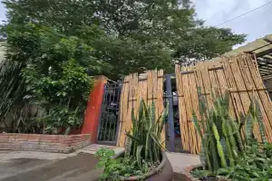 La Casa del Arbol, Oaxaca