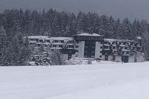 Apartman Nikolic 418, Kopaonik
