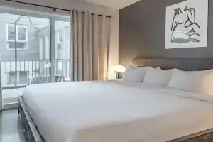 Luxury Old Suite with Soaring Ceilings Apartments, Montreal