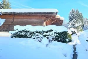 Charming sunny duplex Apartments, Megeve