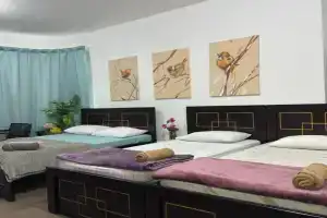 Private Room with Dedicated Bathroom - NO PARKING, Abu Dhabi City