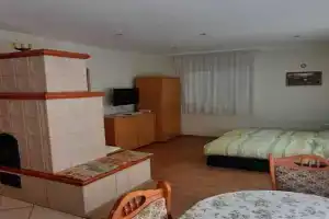 Apartments with BBQ in-Balaton 54366, Keszthely