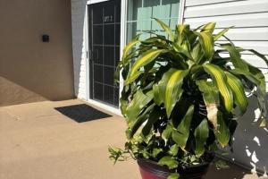 Burnham Guesthouse, Cape Coral