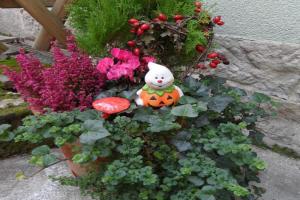 Ferienwohnung an der Therme Apartments, Bad Schandau